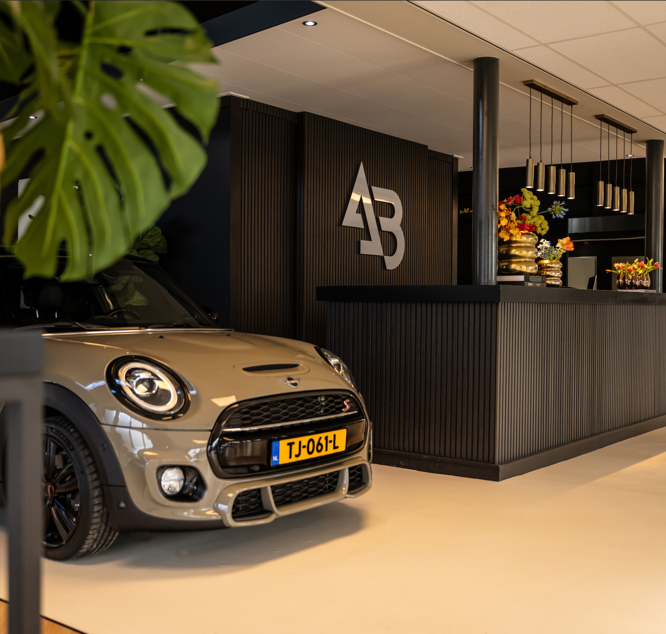 Popup popup_images_0_17489353711106468001.jpg | Autocentrum Brabant Breda